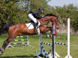 2016 Sydhavscup spring 1. del - 8. maj